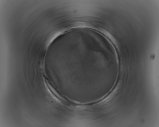 X0000090451385200708031207