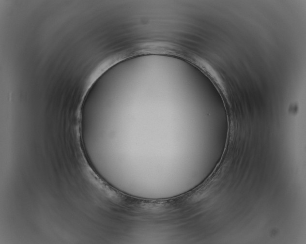 X0000090451386200708031207