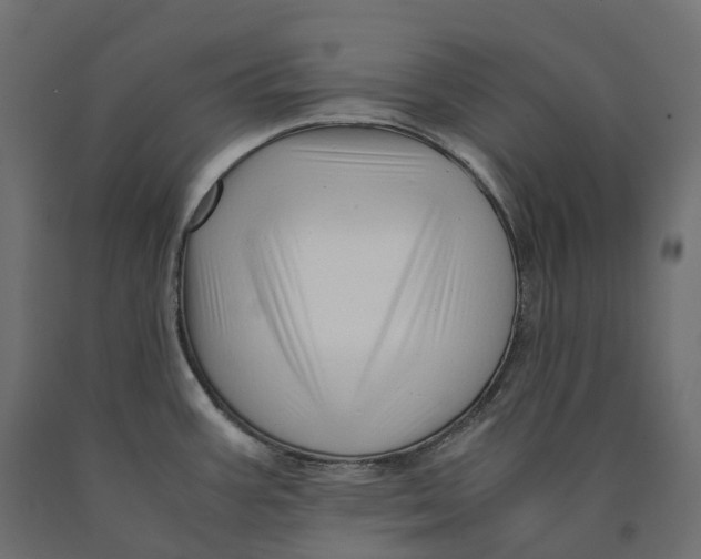 X0000090451387200708031207