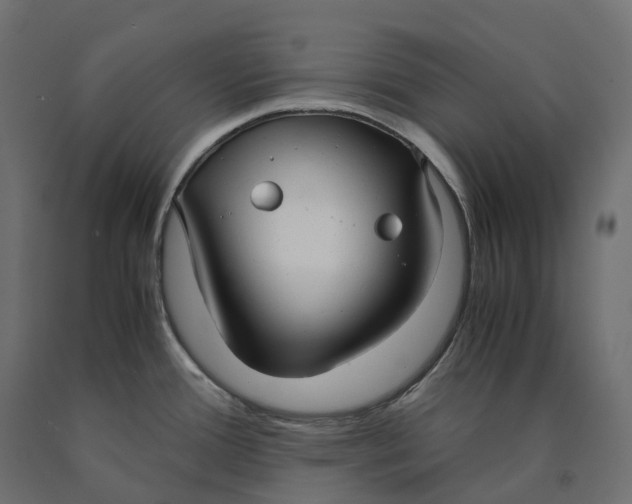 X0000090451388200708031207