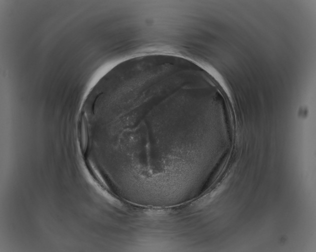 X0000090451389200708031207