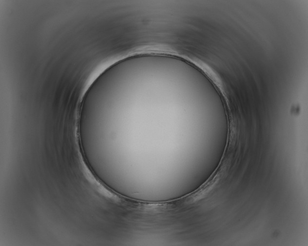 X0000090451390200708031207