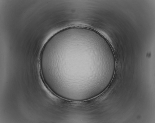 X0000090451391200708031207