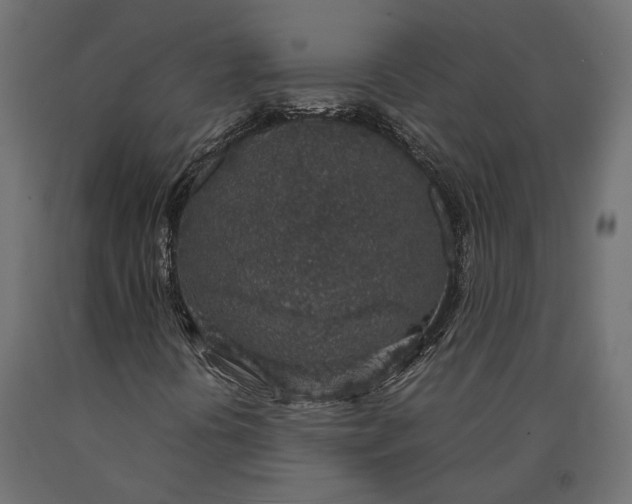 X0000090451394200708031206