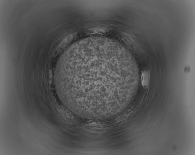 X0000090451395200708031206