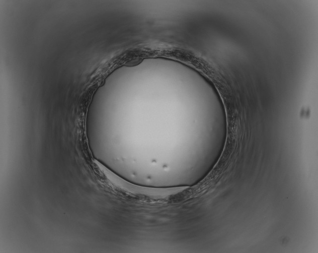 X0000090451397200708031206