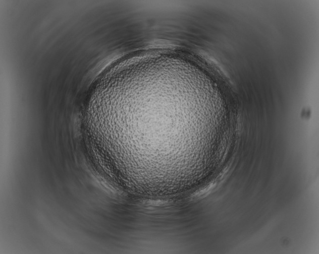 X0000090451401200708031206