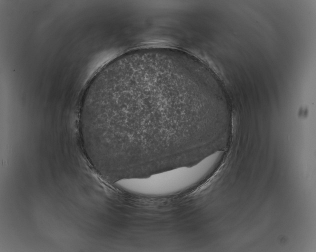 X0000090451405200708031206