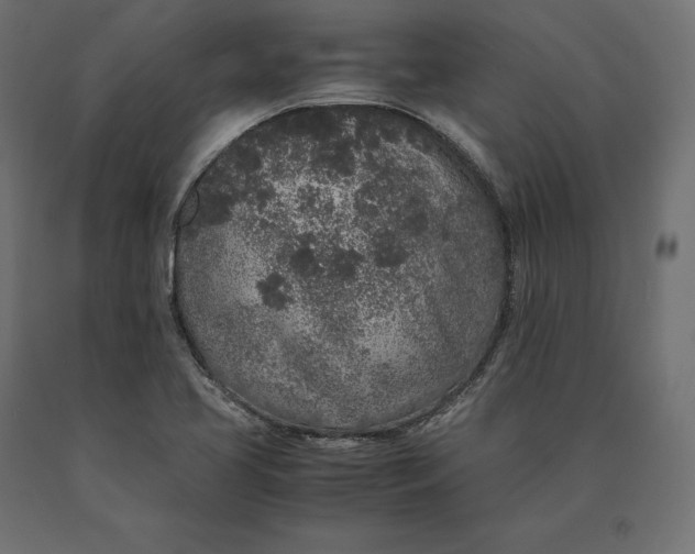 X0000090451413200708031206