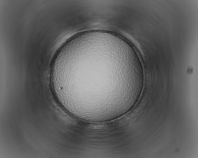 X0000090451415200708031206