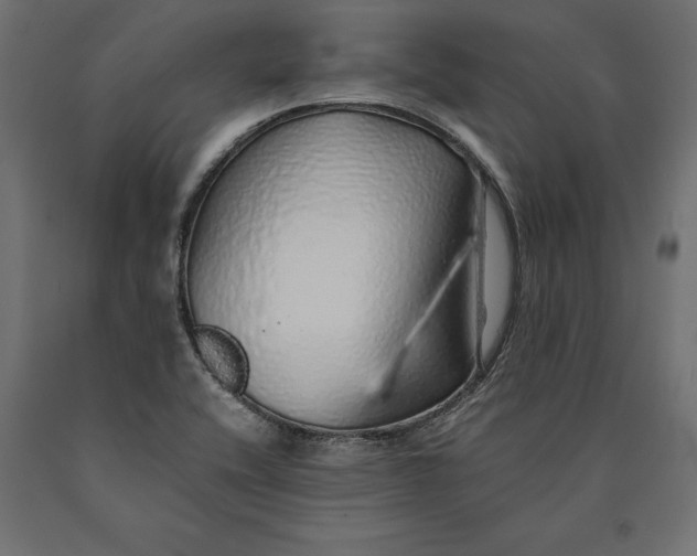 X0000090451416200708031206