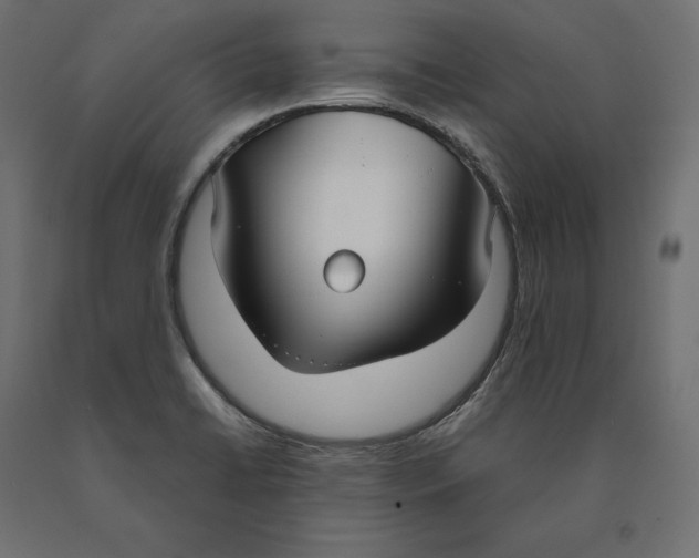 X0000090451422200708031207