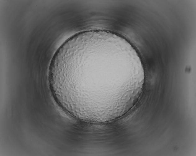 X0000090451423200708031207