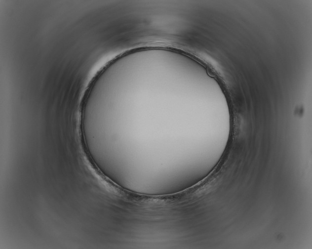 X0000090451424200708031207