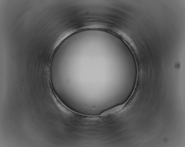 X0000090451425200708031207