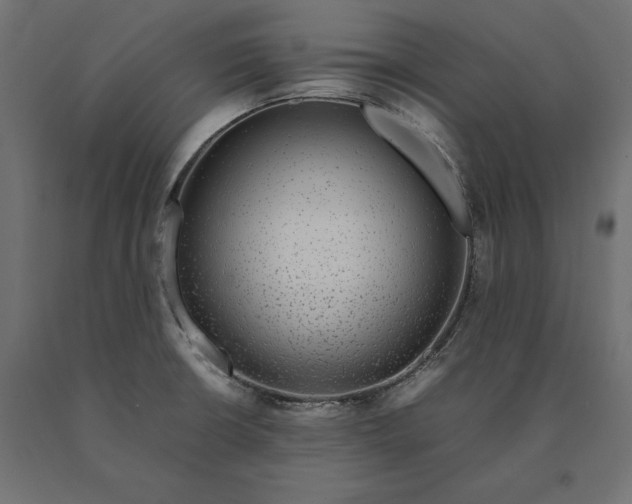 X0000090451426200708031207