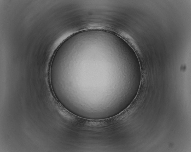 X0000090451427200708031207