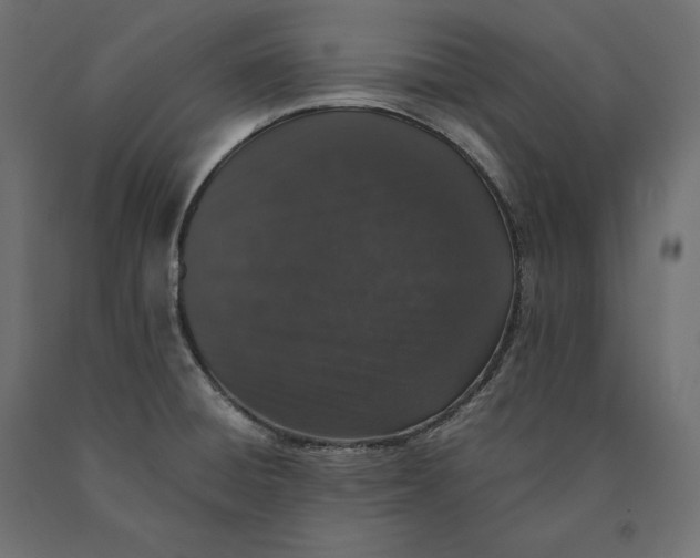 X0000090451428200708031207