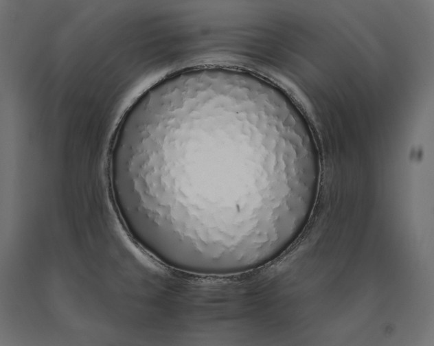 X0000090451429200708031207