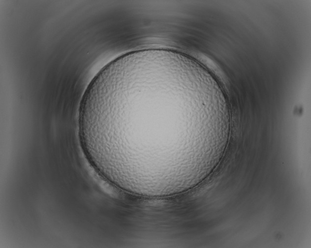 X0000090451431200708031207