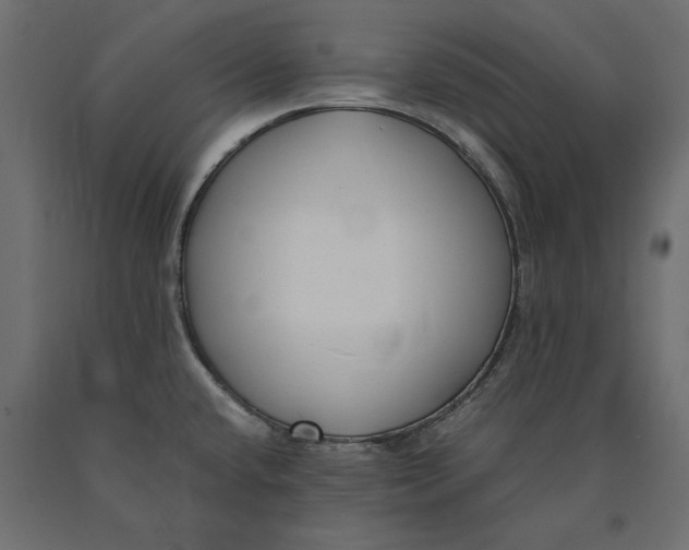 X0000090451432200708031207