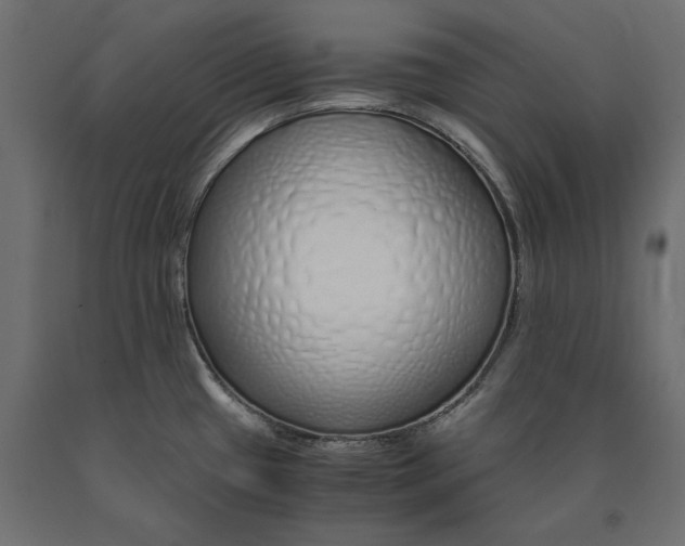 X0000090451433200708031207