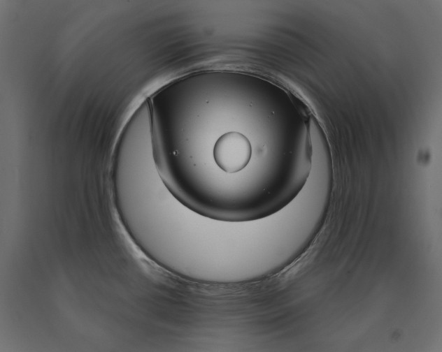 X0000090451434200708031207