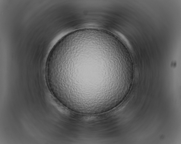 X0000090451435200708031207