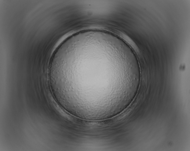 X0000090451436200708031207