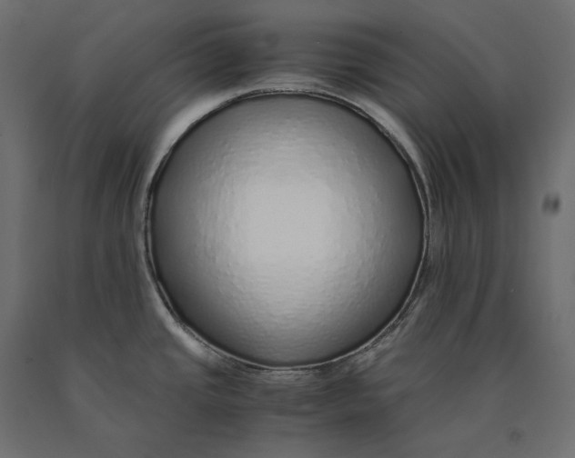 X0000090451437200708031207