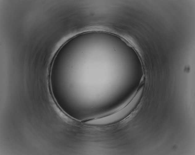 X0000090451438200708031207