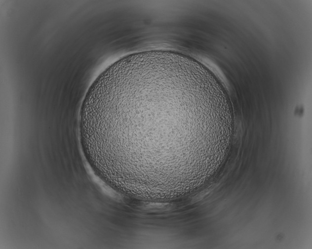 X0000090451439200708031207