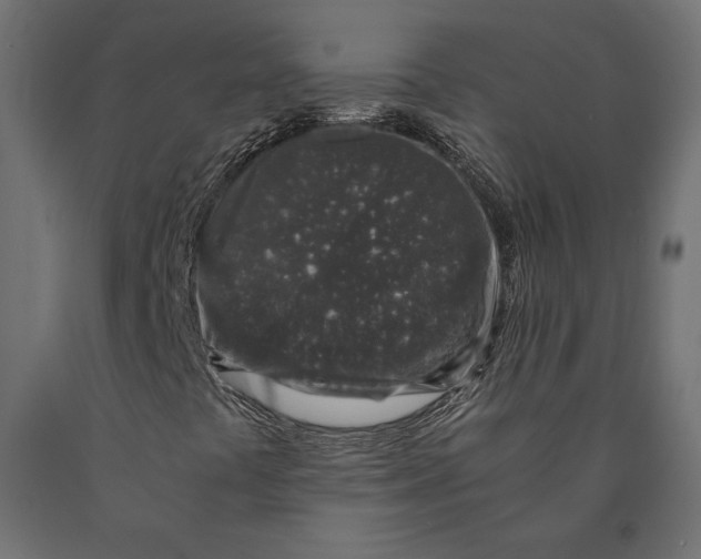 X0000090451441200708031206