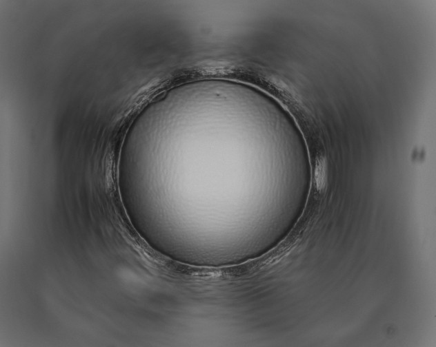 X0000090451444200708031206