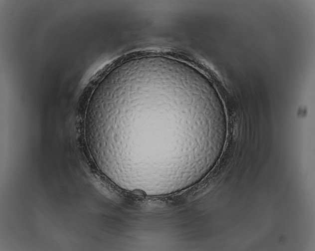 X0000090451448200708031206