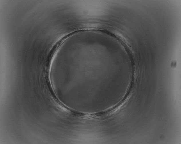 X0000090451449200708031206