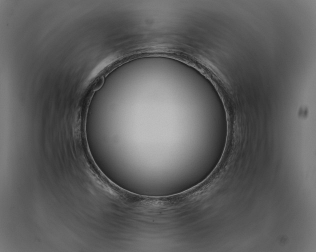 X0000090451450200708031206