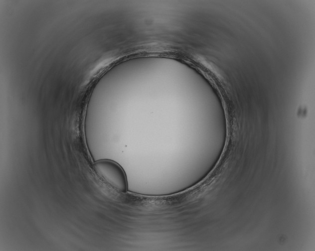 X0000090451451200708031206