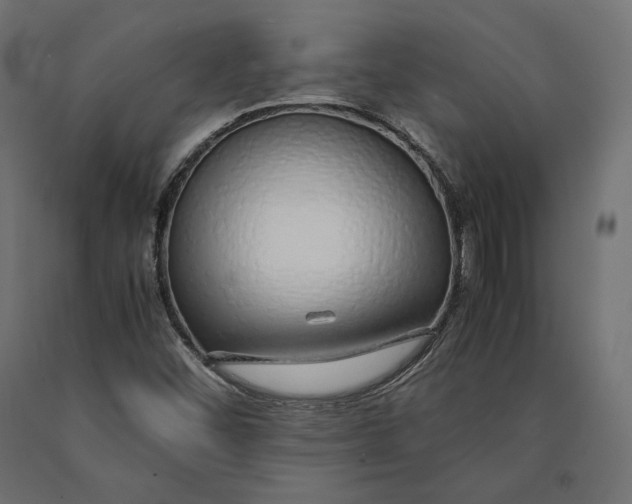 X0000090451452200708031206