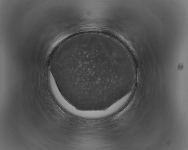 X0000090451453200708031206