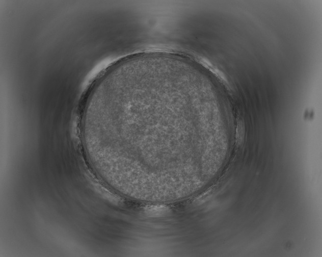 X0000090451454200708031206