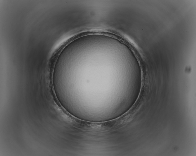 X0000090451456200708031206