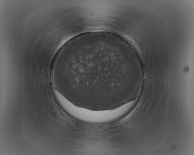 X0000090451457200708031206