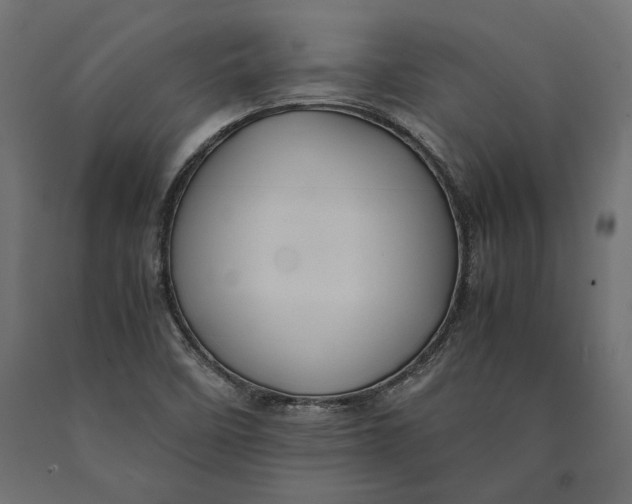 X0000090451458200708031206