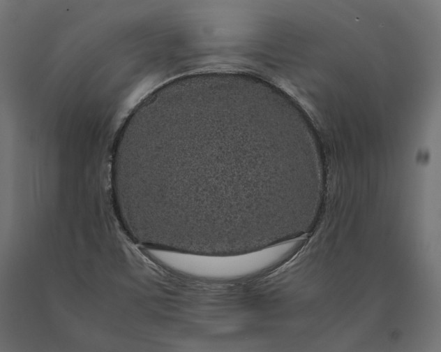 X0000090451459200708031206