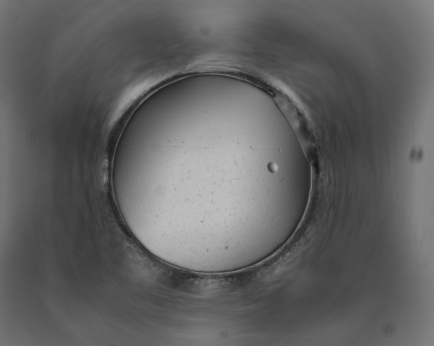 X0000090451461200708031206