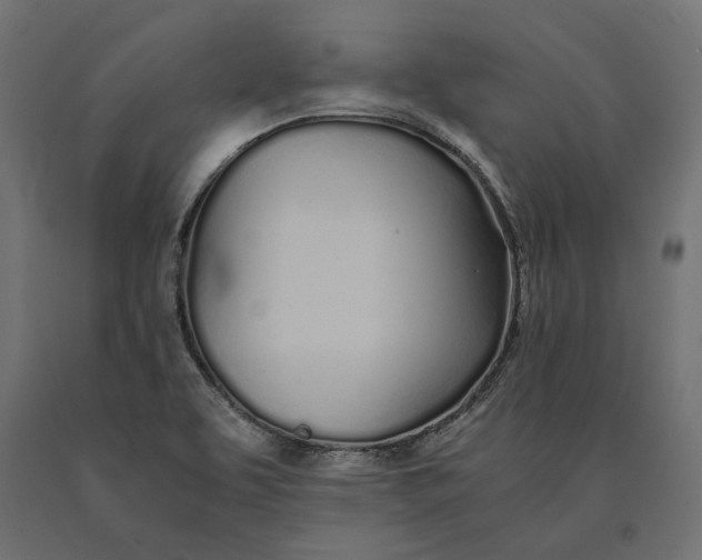 X0000090451463200708031206