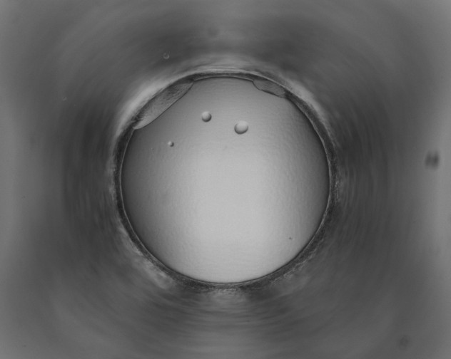 X0000090451464200708031206