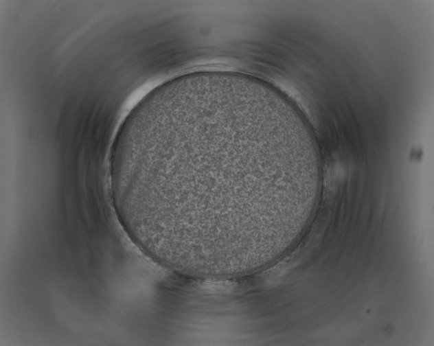 X0000090451466200708031206