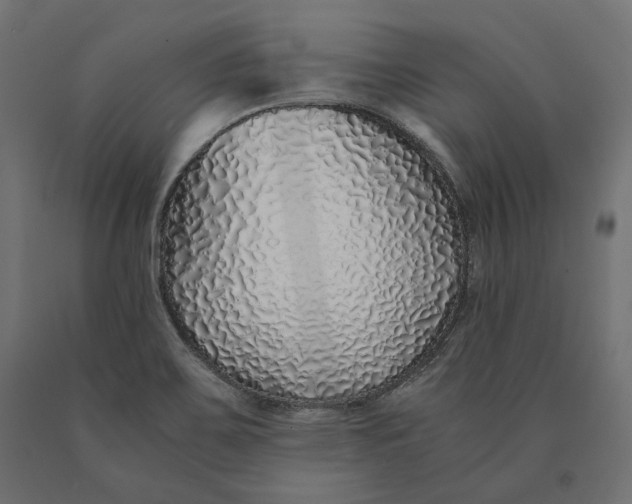 X0000090451467200708031206